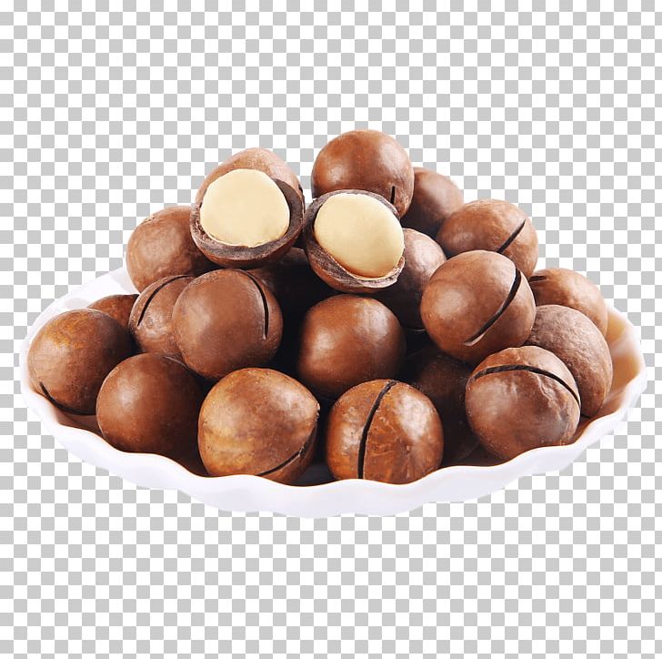 Mozartkugel Chocolate Truffle Praline Chocolate Balls Bonbon PNG, Clipart, Bonbon, Bulk, Chocolate, Chocolate Balls, Chocolatecoated Peanut Free PNG Download