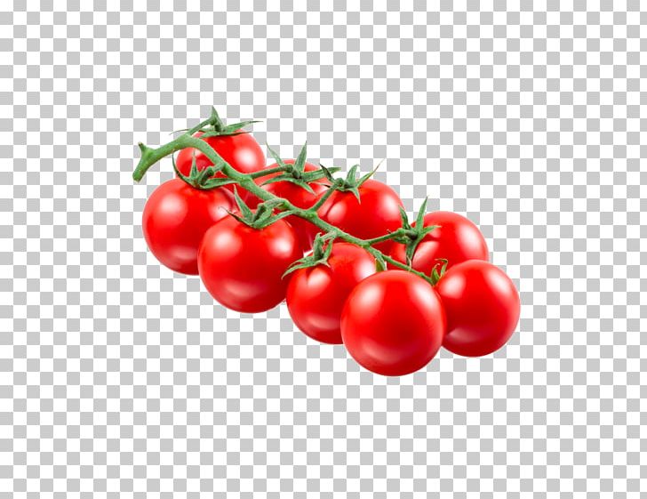 Plum Tomato Bush Tomato Cherry Tomato Food Vegetable PNG, Clipart, Berry, Bush Tomato, Cherry, Cherry Tomato, Cranberry Free PNG Download