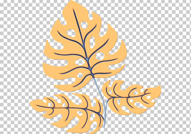 Leaf Tree Meter Fruit Branching PNG, Clipart, Biology, Branching, Fruit, Leaf, Meter Free PNG Download