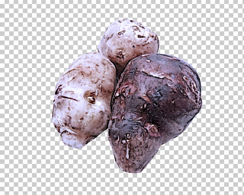 Tuber PNG, Clipart, Tuber Free PNG Download