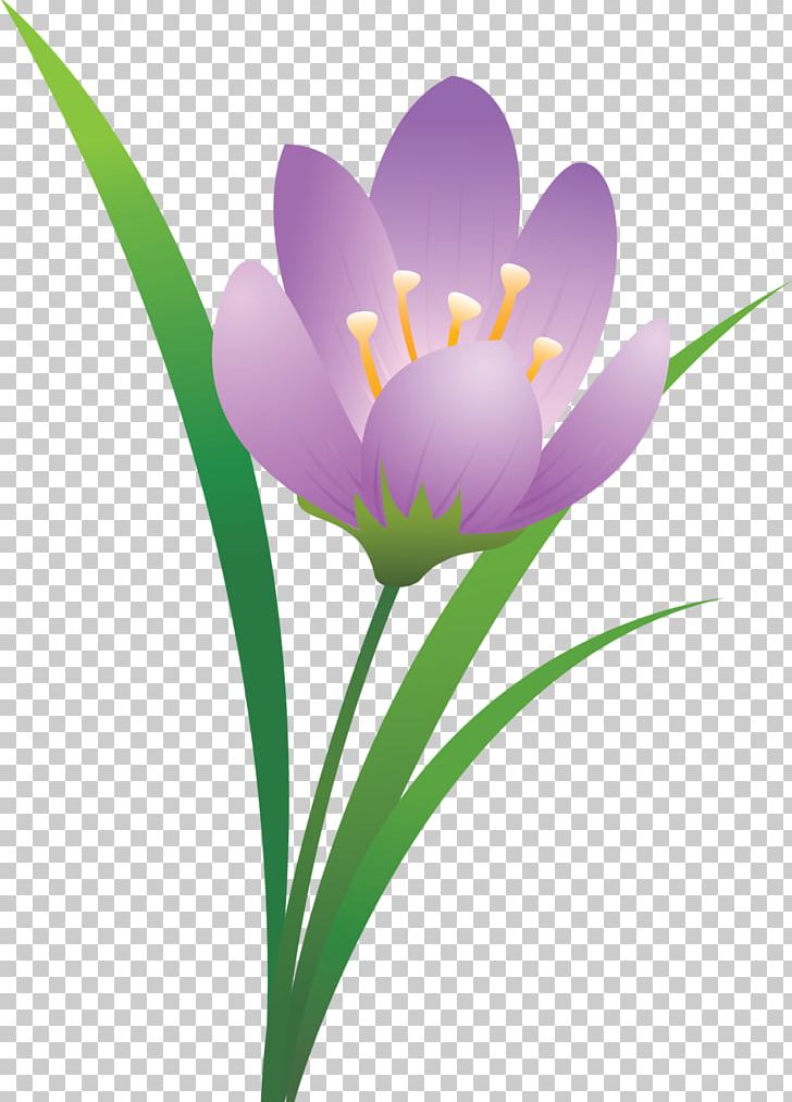 Flower Computer Icons PNG, Clipart, Computer Icons, Computer Wallpaper, Crocus, Cut Flowers, Data Free PNG Download