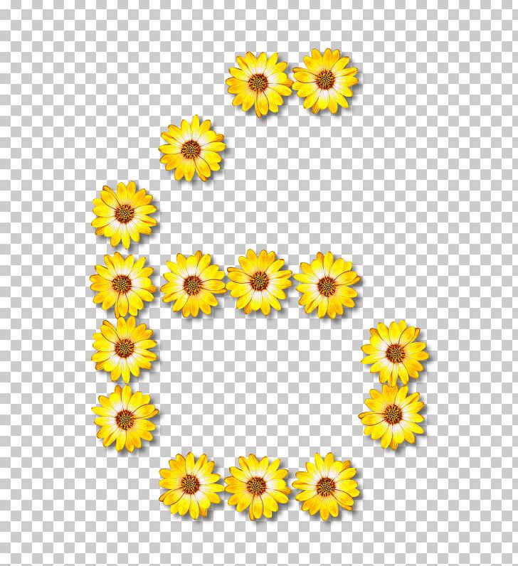 Z Alphabet O Letter PNG, Clipart, Alphabet, Chrysanthemum, Chrysanths, Clip Art, Cut Flowers Free PNG Download