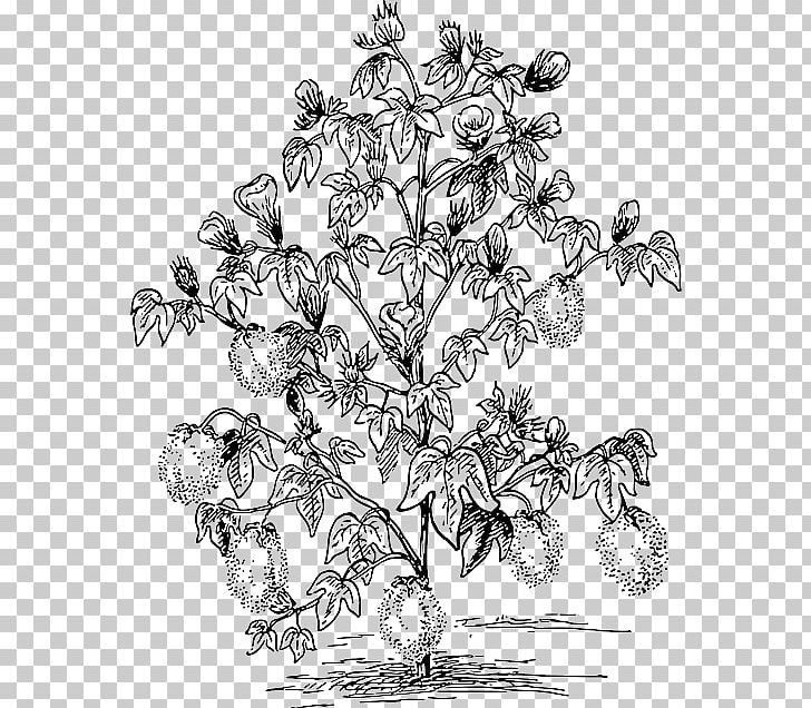Drawing PNG, Clipart, Art, Artwork, Black And White, Branch, Computer Icons Free PNG Download