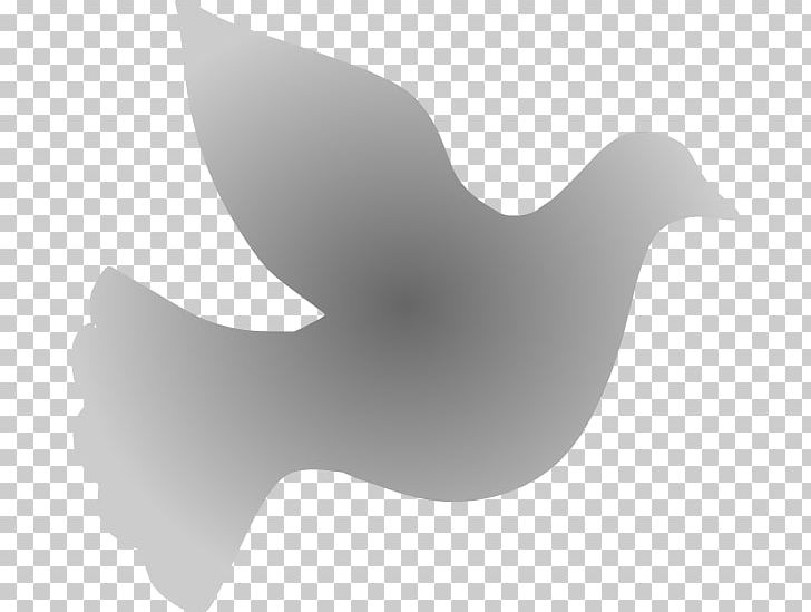 Duck Beak Font PNG, Clipart, Angle, Animals, Beak, Bird, Black And White Free PNG Download