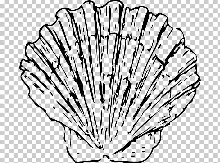 Seashell Clam Blue PNG, Clipart, Area, Black And White, Blog, Bluegreen, Color Free PNG Download