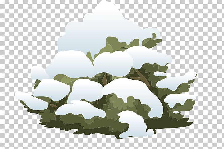 Shrub Snow Tree PNG, Clipart, Computer Icons, Grass, Leaf, Nature, Plant Free PNG Download