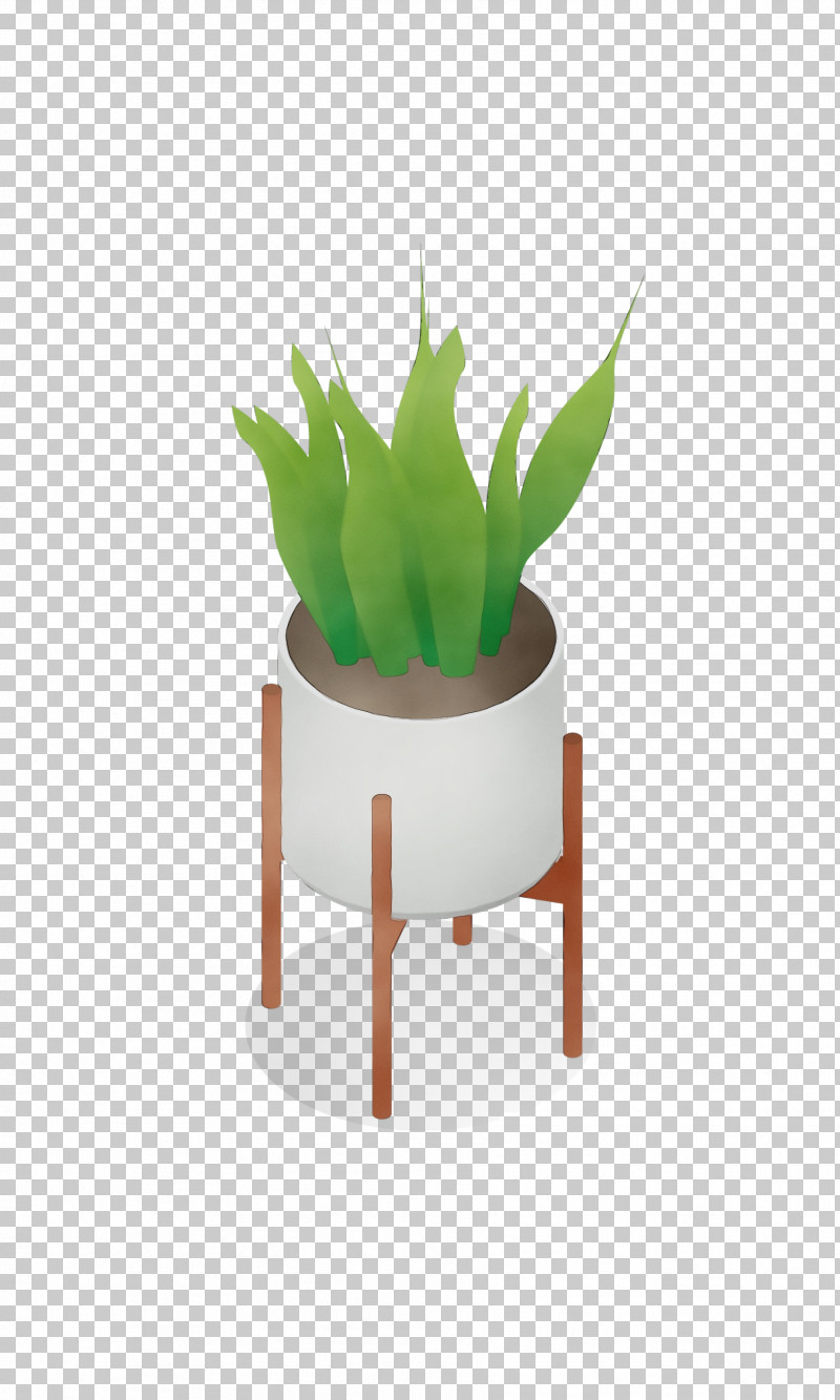 Cactus PNG, Clipart, Biology, Cactus, Flowerpot, Paint, Plants Free PNG Download