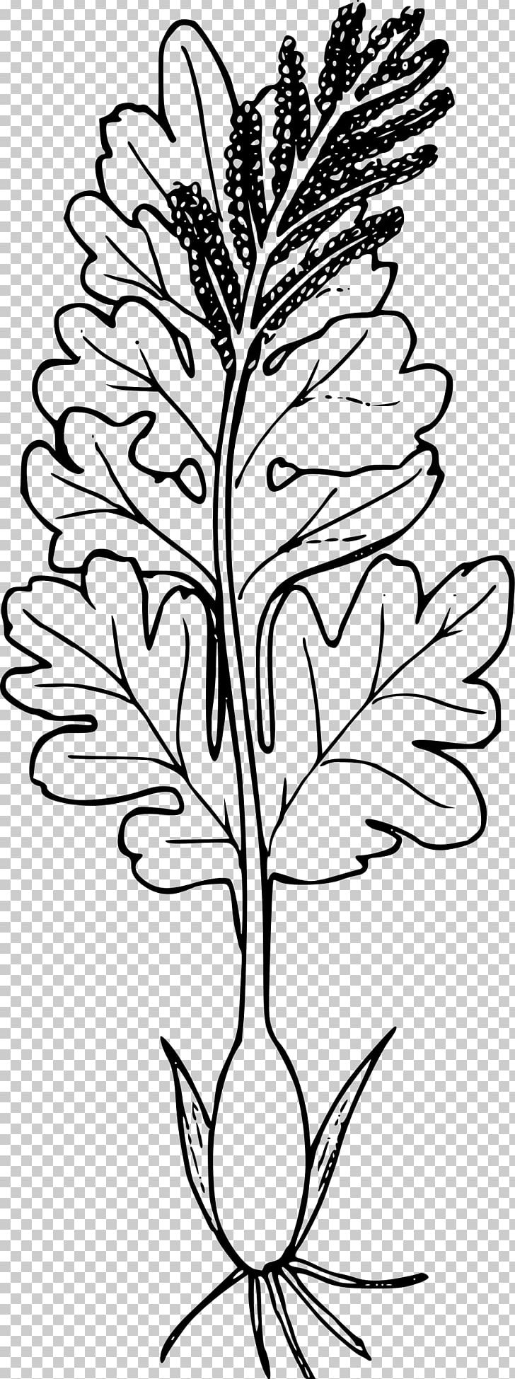 Twig Computer Icons Plant PNG, Clipart, Black And White, Branch, Computer Icons, Download, Flora Free PNG Download