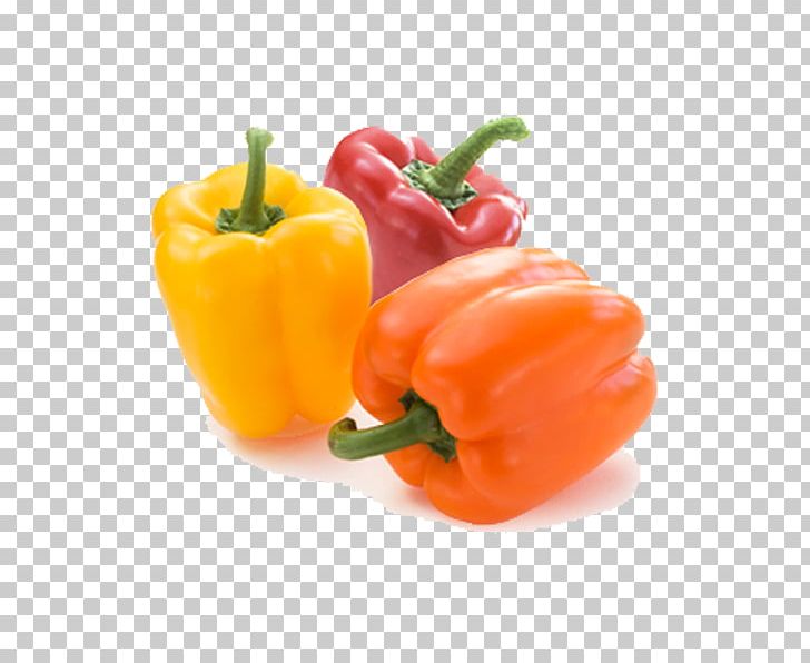 Bell Pepper Capsicum Vegetable Carrot Chili Pepper PNG, Clipart, Aleppo ...