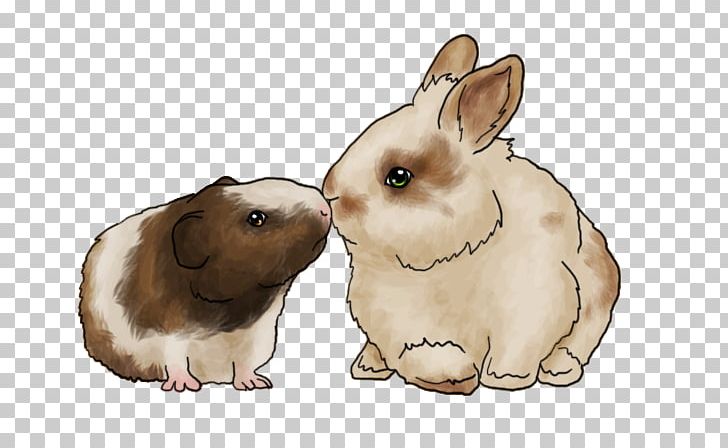 Domestic Rabbit Guinea Pig Lionhead Rabbit Hare PNG, Clipart, Animal, Chinchilla, Common Degu, Domestic Rabbit, Drawing Free PNG Download