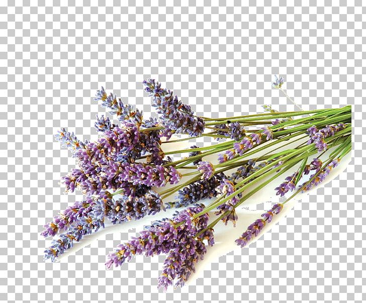 English Lavender Corpo Bello Lotion Skin Bathing PNG, Clipart, Aromatherapy, Bathing, Concept, English Lavender, Fragrance Free PNG Download