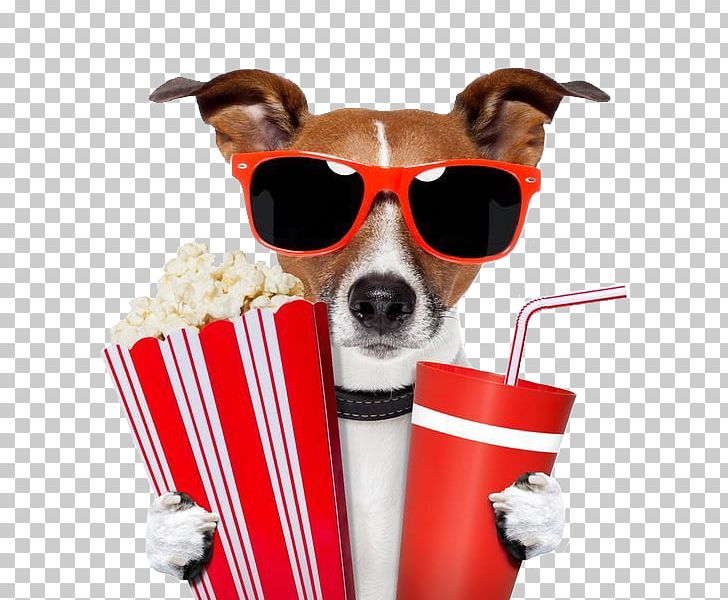 Film Poster Williamsburg Hollywood Production Companies PNG, Clipart, Actor, Dog, Dog Breed, Dog Like Mammal, Dog Watch Free PNG Download