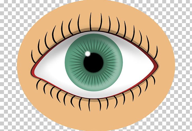 Human Eye Iris PNG, Clipart, Clip Art, Closeup, Color, Download, Eye Free PNG Download