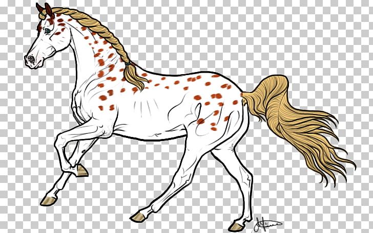 Mule Foal Bridle Stallion Colt PNG, Clipart, Animal, Animal Figure, Appaloosa, Artwork, Bridle Free PNG Download