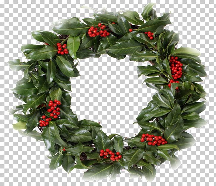 Wreath Christmas Garland Holly PNG, Clipart, Advent, Advent Sunday, Advent Wreath, Aquifoliaceae, Aquifoliales Free PNG Download