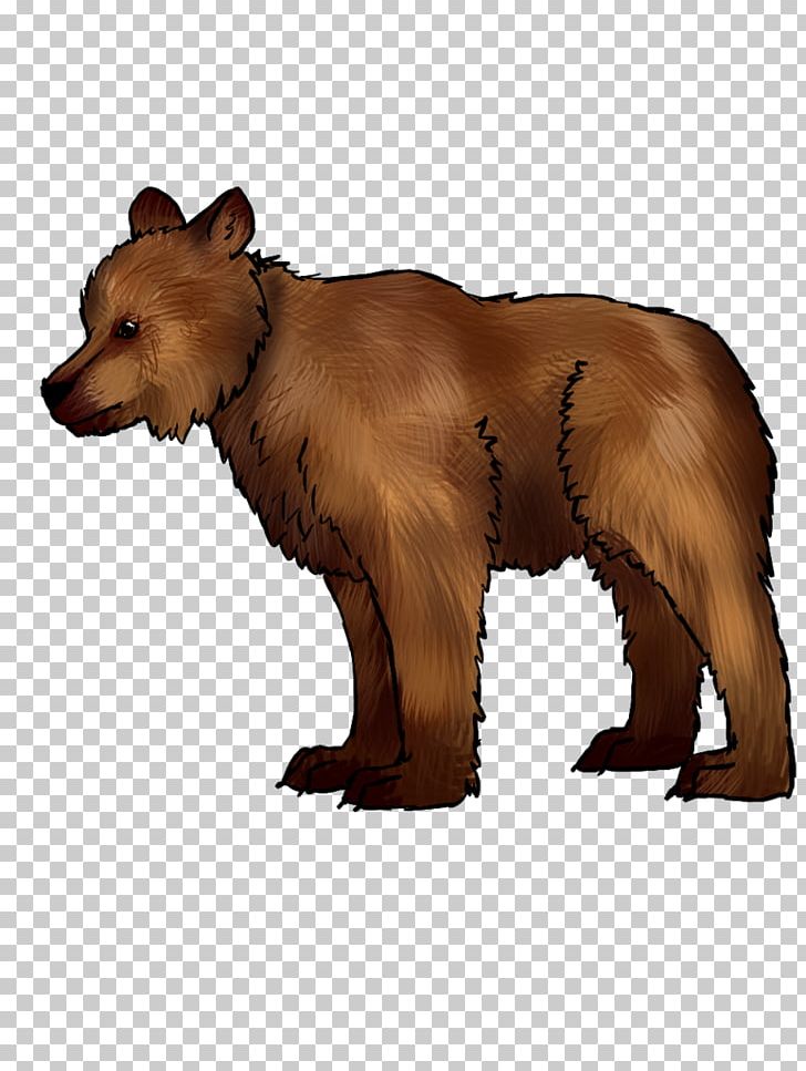 Grizzly Bear Dog Shutter Speed Film Speed Focal Length PNG, Clipart, Animals, Aperture, Bear, Bear Cub, Brown Bear Free PNG Download