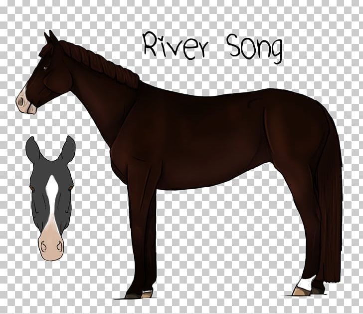 Mustang Stallion Mare Rein Pack Animal PNG, Clipart,  Free PNG Download