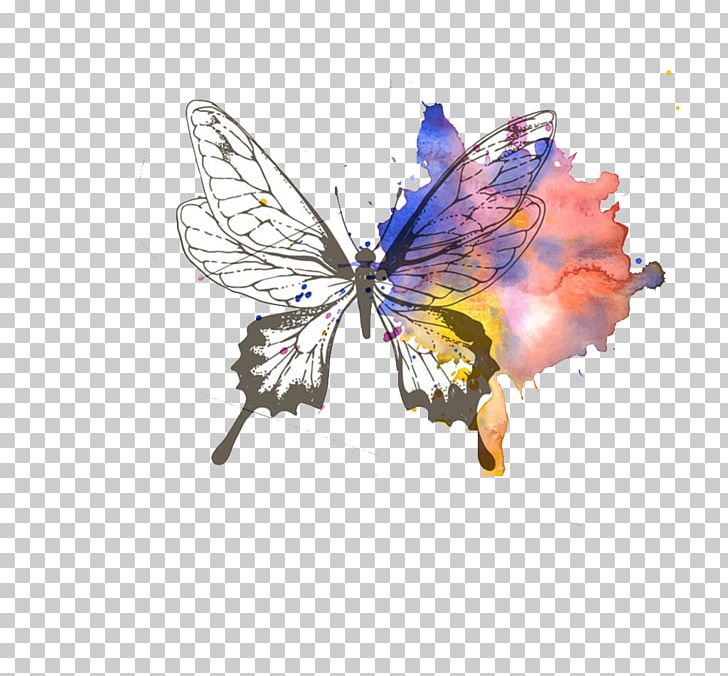 Odd And Imperfect Paper Book Cover Author PNG, Clipart, Arthropod, Blue Butterfly, Book, Book Review, Brush Footed Butterfly Free PNG Download