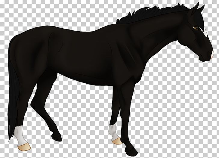 Pony Mare Stallion Mustang Mane PNG, Clipart, Bridle, Colt, Computer Icons, Halter, Horse Free PNG Download