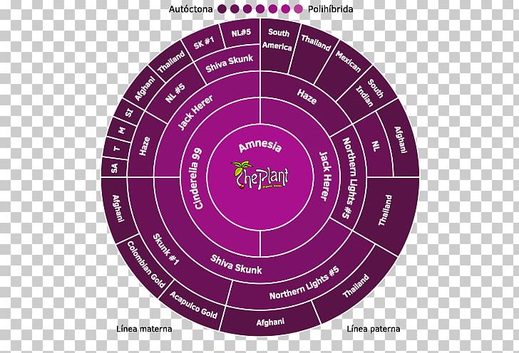 Brand Product Design Diagram Purple PNG, Clipart, Brand, Circle, Circle M Rv Camping Resort, Diagram, Magenta Free PNG Download