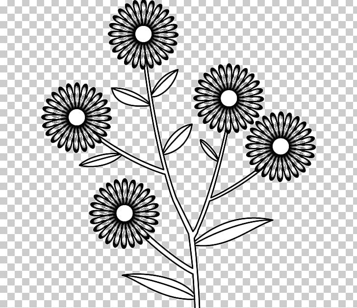 Cut Flowers Floral Design Chrysanthemum PNG, Clipart, Area, Artwork, Black And White, Chrysanthemum, Chrysanths Free PNG Download