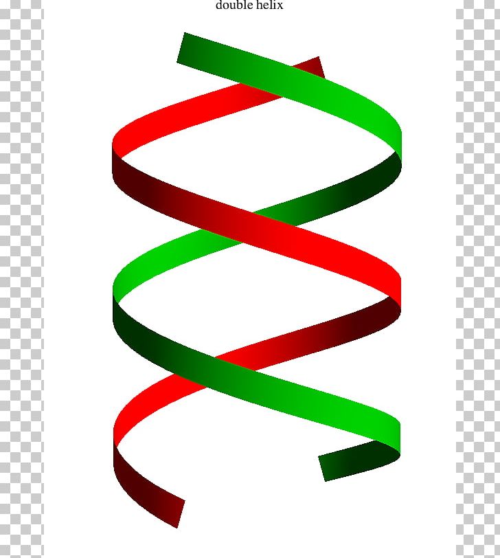 The Double Helix: A Personal Account Of The Discovery Of The Structure Of DNA Nucleic Acid Double Helix PNG, Clipart, Double Helix Vector, Geometry, Helix, Line, Noncovalent Interactions Free PNG Download