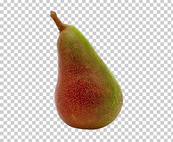 Williams Pear Accessory Fruit Auglis PNG, Clipart, Accessory Fruit, Agriculture, Auglis, Biodynamic Agriculture, Canning Free PNG Download