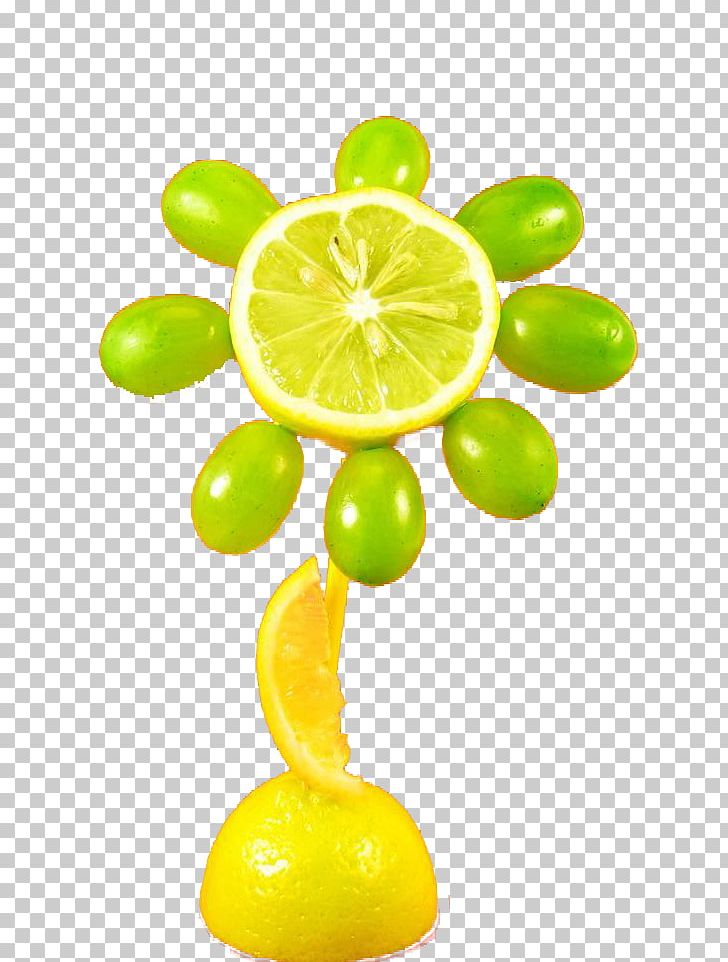 Lime Lemon Orange PNG, Clipart, Citric Acid, Citron, Citrus, Computer Icons, Drawing Free PNG Download