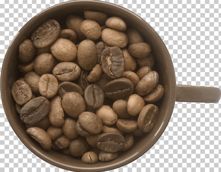 Coffee Bean PNG, Clipart, Bean, Beans, Coffee, Coffee Aroma, Coffee Bean Free PNG Download