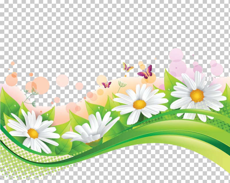Daisy PNG, Clipart, Camomile, Chamomile, Daisy, Flower, Mayweed Free PNG Download