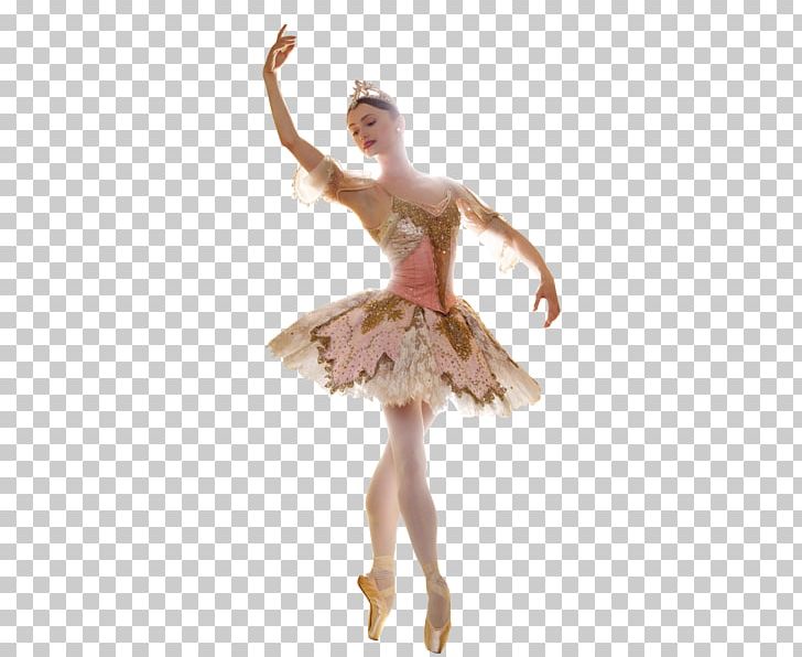 Bolshoi Theatre PNG, Clipart, Art, Artist, Ballet, Ballet Dancer, Ballet Tutu Free PNG Download