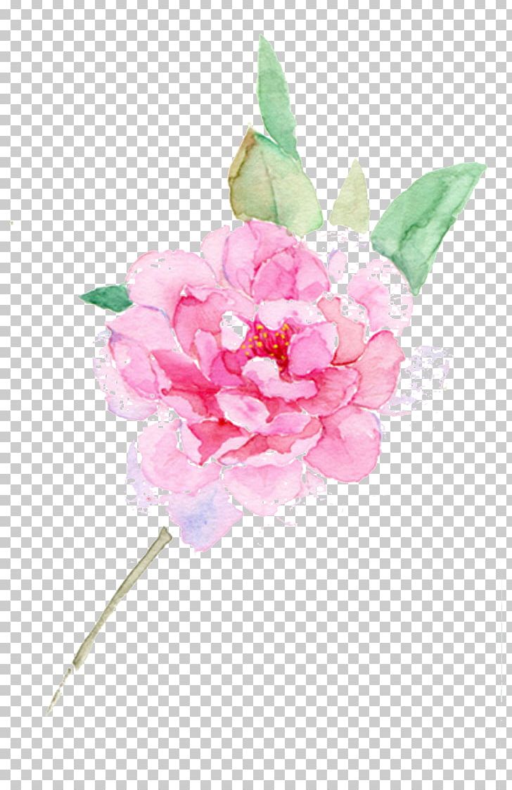 Flower Centifolia Roses Designer PNG, Clipart, Artificial Flower, Creative, Flower Arranging, Flowers, Hand Free PNG Download