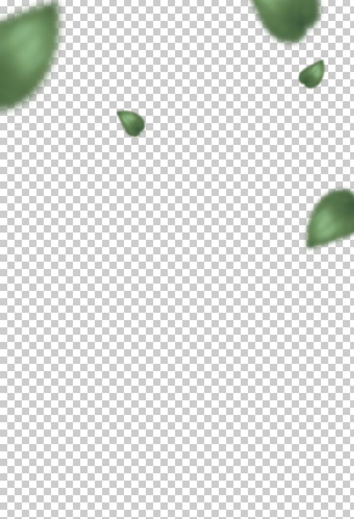 Green Material Leaf Designer PNG, Clipart, Christmas Decoration, Concepteur, Decoration, Designer, Euclidean Vector Free PNG Download