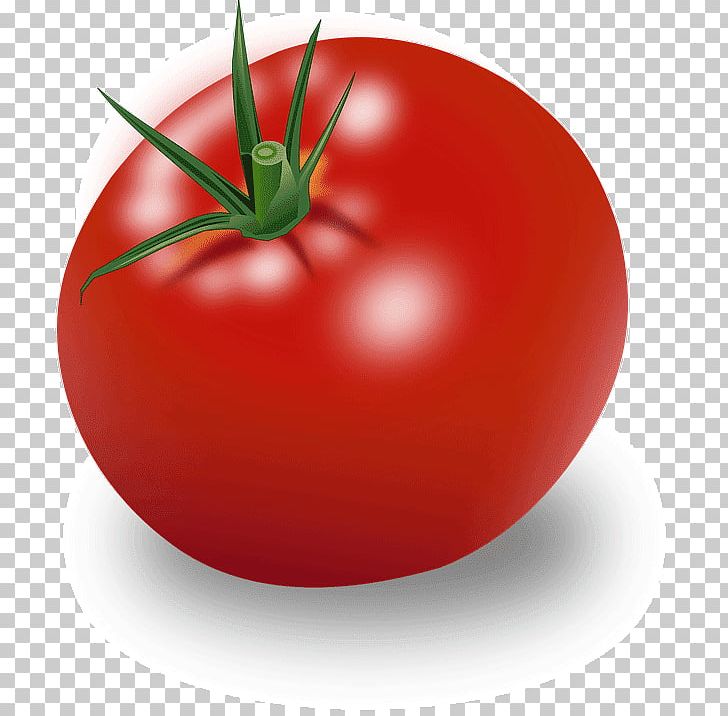 Hamburger Cherry Tomato Ripening Vegetable PNG, Clipart, Apple, Bush Tomato, Cherry Tomato, Diet Food, Food Free PNG Download