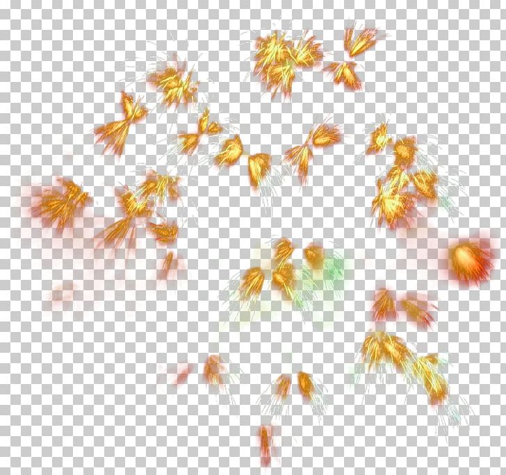 Petal Flora Yellow Pattern PNG, Clipart, Atmosphere, Burst, Burst Effect, Color, Color Fireworks Free PNG Download