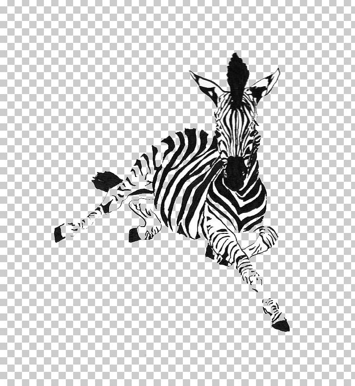 Zebra Horse Drawing Ink Animal PNG, Clipart, 3d Animation, Animals, Animation, Anime Character, Anime Eyes Free PNG Download