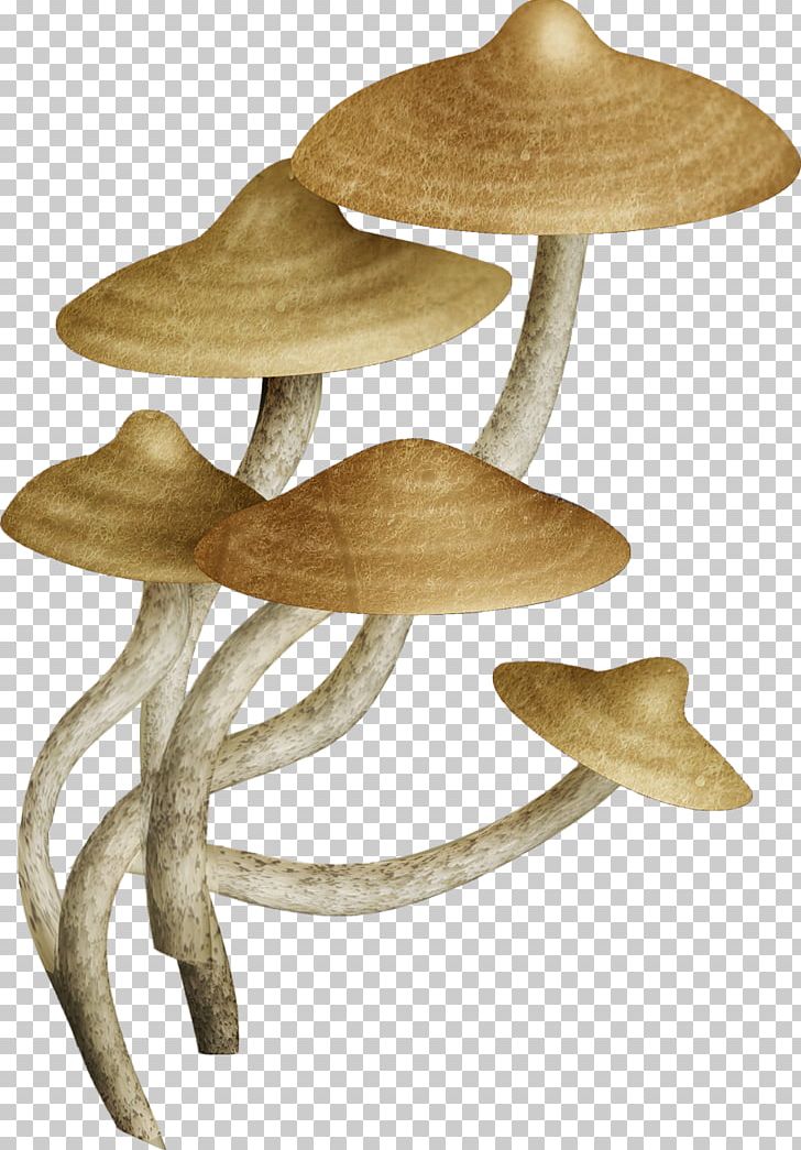 Fungus Common Mushroom U83cc PNG, Clipart, Blog, Common Mushroom, Concepteur, Drawing, Fungus Free PNG Download
