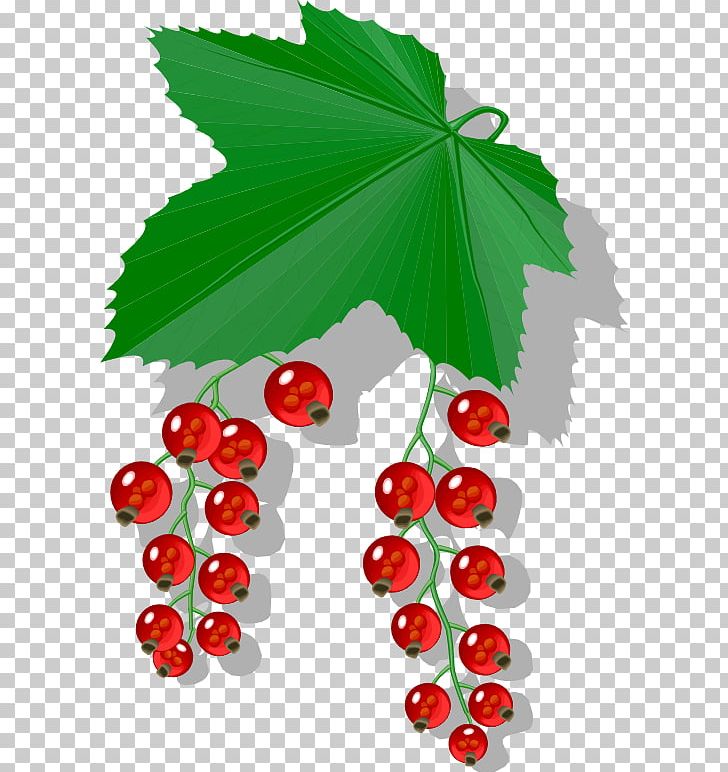 Berry Redcurrant Food Blackcurrant PNG, Clipart, Berries, Berry, Blackcurrant, Blueberry, Cherry Free PNG Download