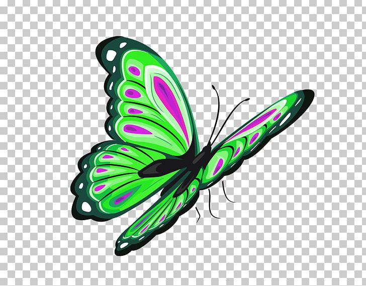Butterfly PNG, Clipart, Arthropod, Brush Footed Butterfly, Butterflies And Moths, Butterfly, Color Free PNG Download