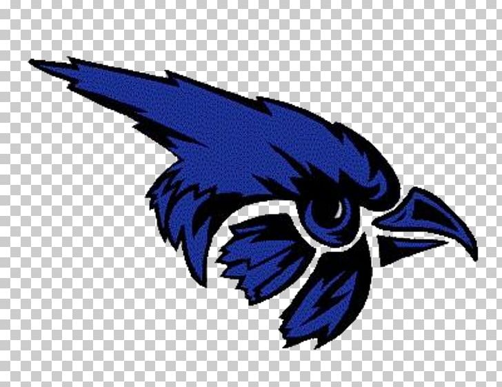 Pierce Public Schools Norfolk Lincoln Pierce Elementary School National Secondary School PNG, Clipart, Beak, Bird, Blue Jay, Elementary School, Fictional Character Free PNG Download