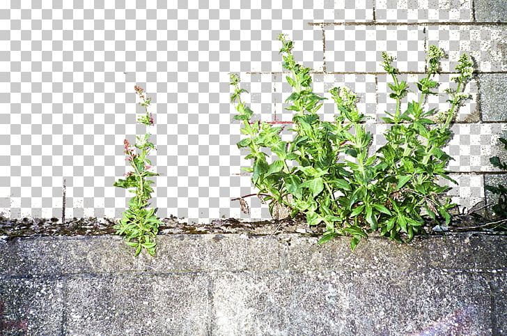 Stones PNG, Clipart, Atmosphere, Botany, Brick, Brick Wall, Fence Free PNG Download