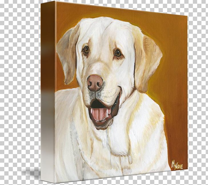 Labrador Retriever Dog Breed Companion Dog Sporting Group PNG, Clipart, Breed, Carnivoran, Companion Dog, Dog, Dog Breed Free PNG Download