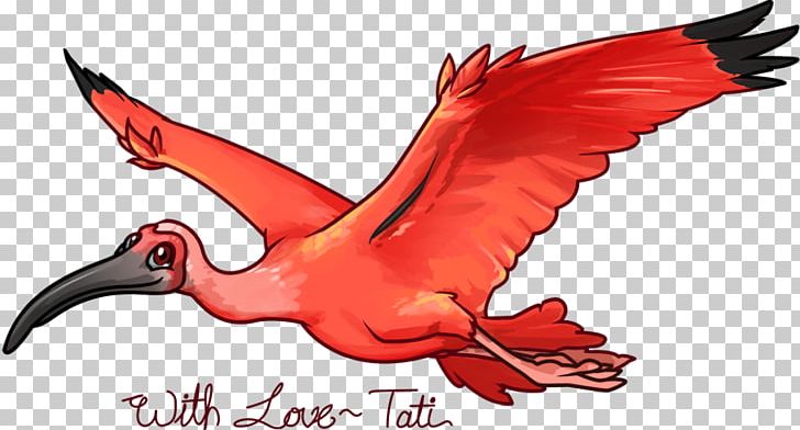 The Scarlet Ibis Bird Beak PNG, Clipart, Animals, Art, Beak, Bird, Cartoon Free PNG Download