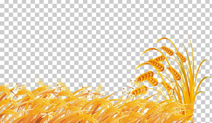 Wheat Fundal PNG, Clipart, Bumper, Commodity, Coreldraw, Download, Dwg Free PNG Download