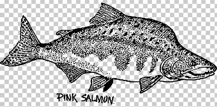 Fish Pink Salmon Chum Salmon Drawing PNG, Clipart, Animal Figure, Animals, Atlantic Salmon, Black And White, Chum Salmon Free PNG Download