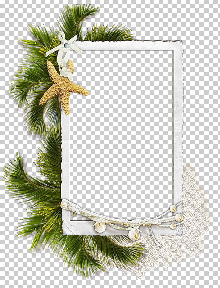 Frames Respect Friendship Tendresse Png Clipart Blog Branch Christmas Ornament Conifer Crab Free Png Download