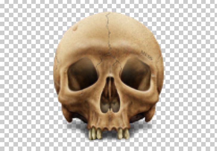 Skull Computer Icons Portable Network Graphics PNG, Clipart, Bone, Computer Icons, Data, Desktop Wallpaper, Fantasy Free PNG Download