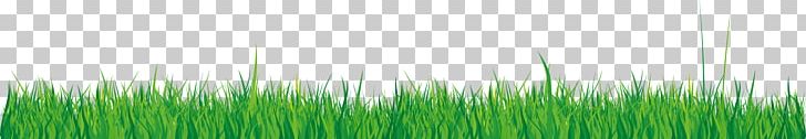 Wheatgrass Green PNG, Clipart, Background Green, Computer, Computer Wallpaper, Decorative Elements, Element Free PNG Download