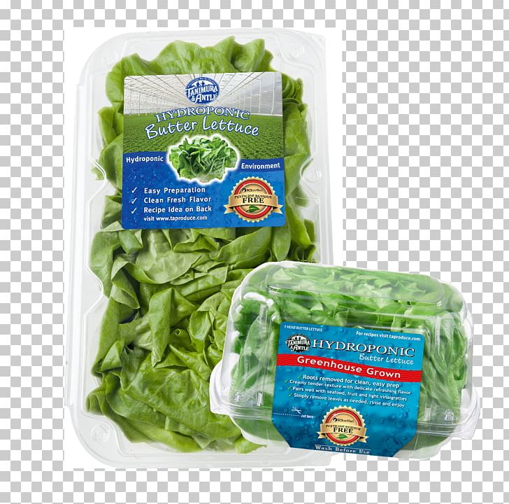 Lettuce Pesticide Residue Tanimura & Antle PNG, Clipart, Chard, Crop, Food, Hydroponics, Ingredient Free PNG Download