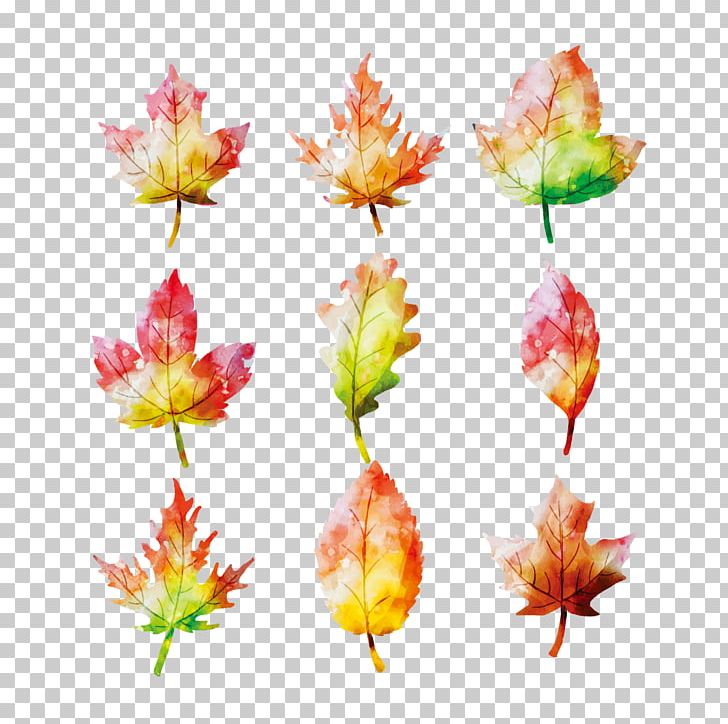 Maple Leaf Watercolor Painting Autumn PNG, Clipart, Autumn, Autumn Leaves, Download, Fall, Fall Leaves Free PNG Download